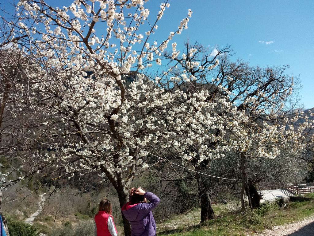 Valle Del Belvedere Spoleto Kültér fotó