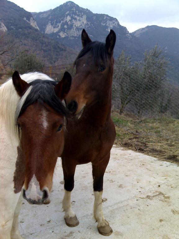 Valle Del Belvedere Spoleto Kültér fotó